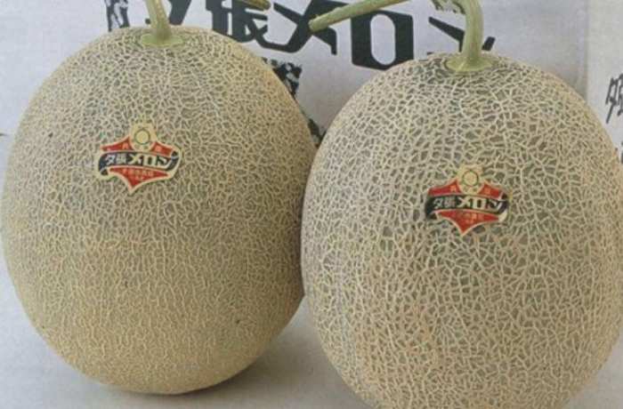 Это самая дорогая еда в мире