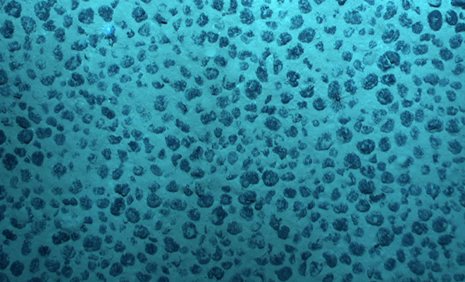 Тихом океане на глубине 4 километра нашли "темный кислород". Он поднимается на поверхность