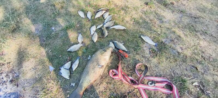 Щука, сазан и море эмоций: алтайские рыбаки поделились лучшими кадрами улова