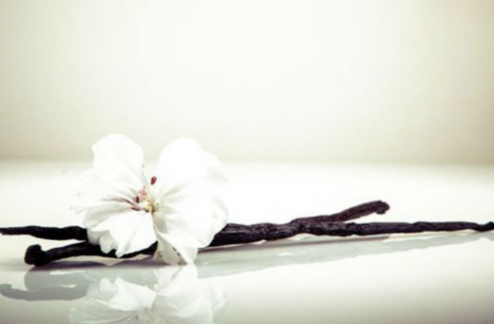 Это самая дорогая еда в мире