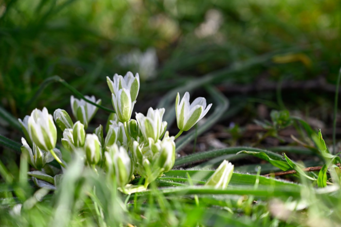 Погода 2 февраля: днём до +13