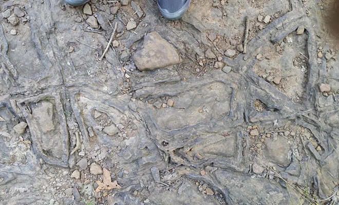 Валун в горах разломился пополам и обнажил металлический каркас внутри. ...из показал, что структура гораздо старше человечества