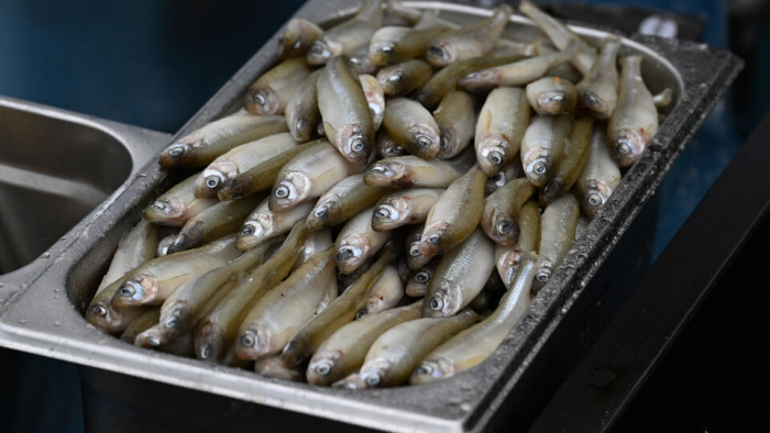 Поддельную "аргентинскую" корюшку начали продавать на рынках России