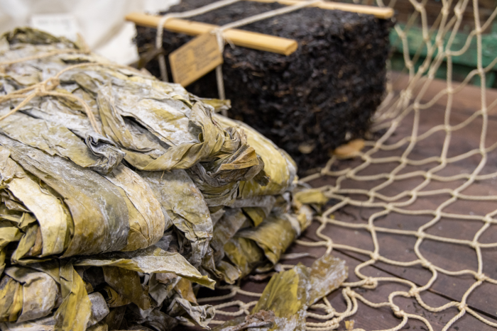 5 причин посетить Архангельскую область