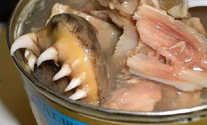 5 блюд русской кухни, от которых иностранцам будет плохо