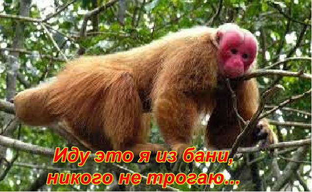 "Авраам Линкольн" и все-все-все