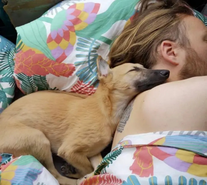 Питомцы, которые не знают границ