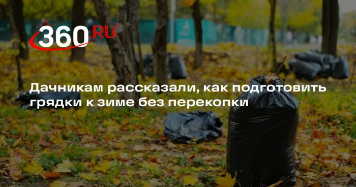 Агроном Воробьев: если укрыть грядки листьями, дождевые черви разрыхлят почву