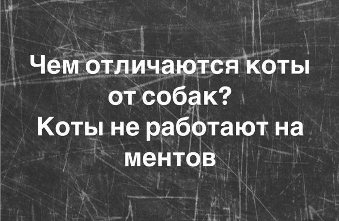 Свежие мемы, юмор за день