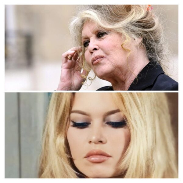 Брижит Бардо ненавидела беременность и отказалась от сына: самая темная глава ее жизни