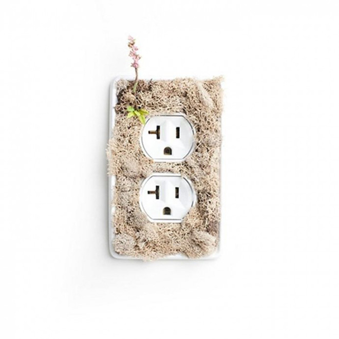 Розетки в интерьере: актуальные комбинации дизайна и высоких технологий (99 фото)