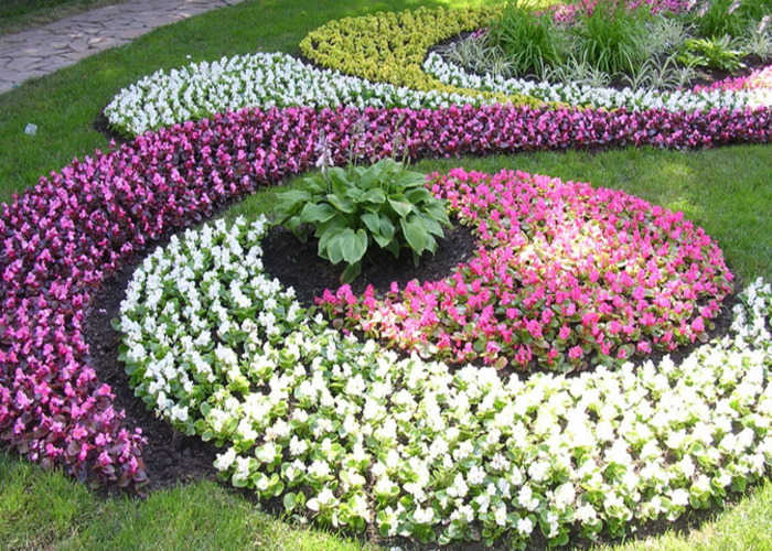 Клумба для дачи: как своими руками создать цветочный оазис (60 фото)