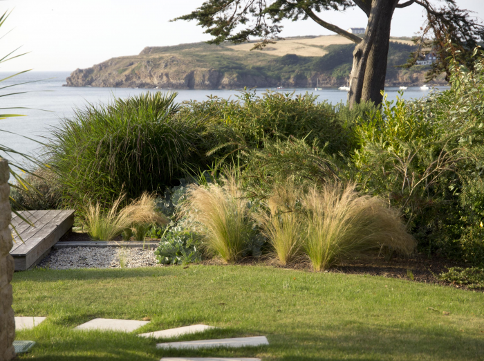 Неприхотливые декоративные кустарники в ландшафтном дизайне: фото и описания (56 фото)