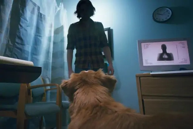 Лучшие фильмы ужасов 2025 года: топ-20 ужастиков на любой вкус