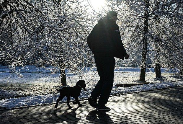 «Не проживают и года» Популярный у россиян метод диагностики не снижает смертность от рака. Почему так происходит и что делать?