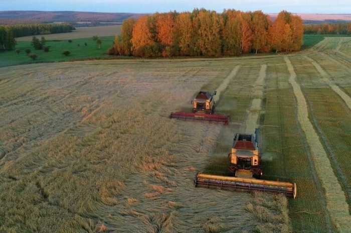 Фермерам хотят разрешить сбор урожая в нацпарках