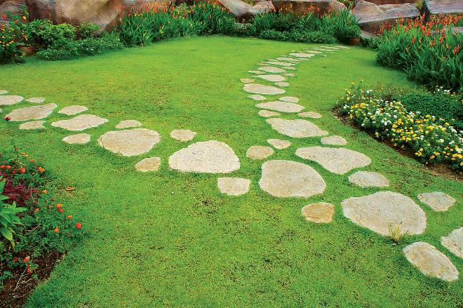 Палисадник перед домом: размер, стиль, выбор растений (80 фото)