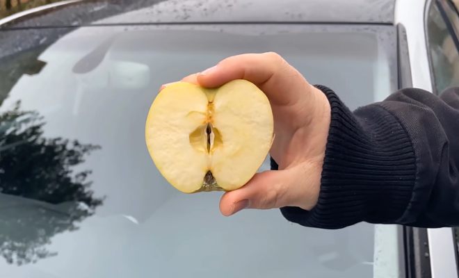 Антидождь подручным способом из обычного яблока. Лайфхак дальнобойщиков