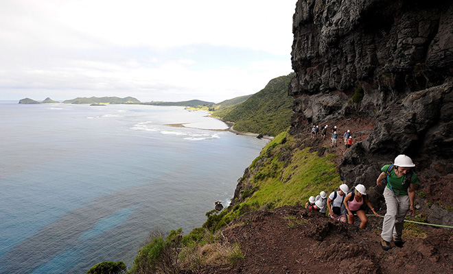 Остров Лорд Хау в Австралии могут посещать одновременно не больше 400 человек. Чем вызваны ограничения