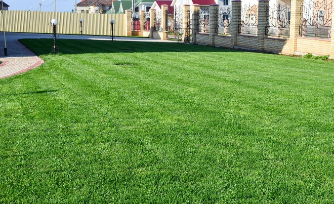 Палисадник перед домом: размер, стиль, выбор растений (80 фото)