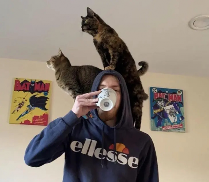 Питомцы, которые не знают границ