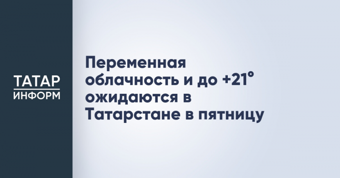 Эксперт Петруненко рассказал, как вести себя при встрече с волком