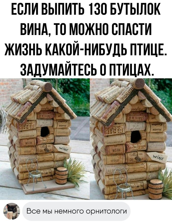 Колкие комментарии, которые как острый соус приправляют сам пост
