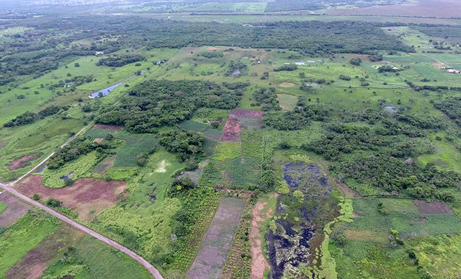 «Похоже на космодром»: ученые обнаружили самую древнюю постройку майя, спрятанную у всех на виду