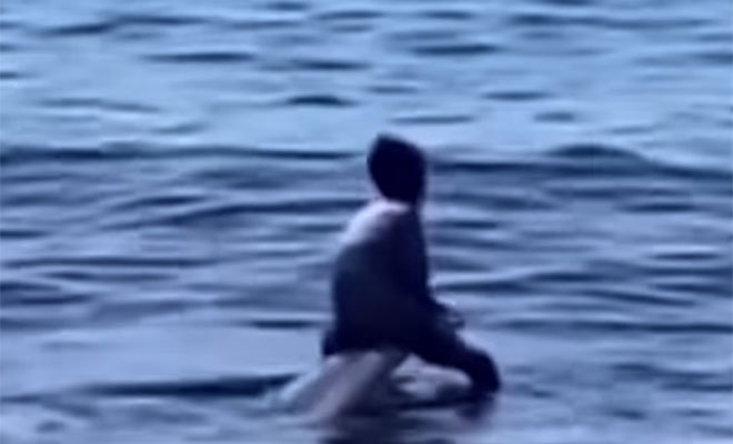 Видео из деревни в Индонезии. Дети плавают с гигантским кашалотом и катаются со спины как с горки