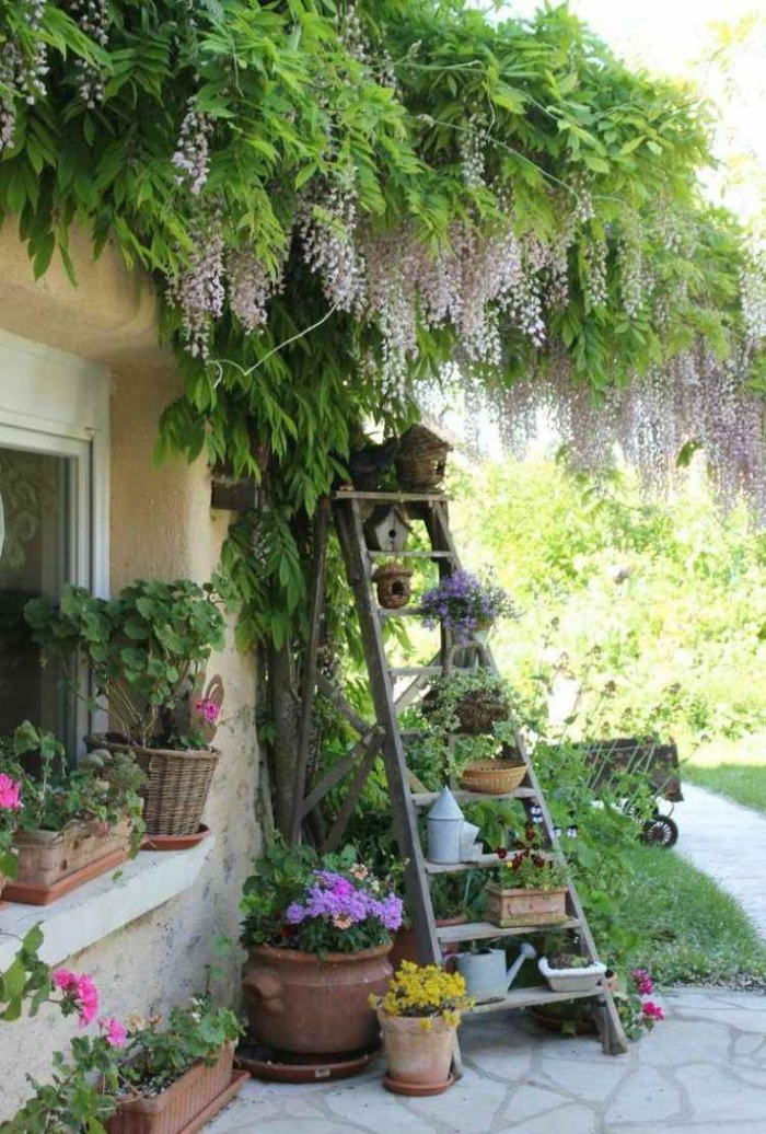 Неприхотливые декоративные кустарники в ландшафтном дизайне: фото и описания (56 фото)