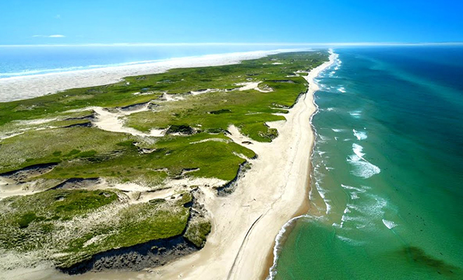 Моряки завезли на остров коней, а потом уплыли. 100 лет спустя люди вернулись и остров изменился