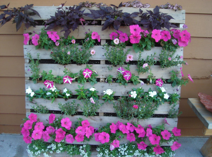 Клумба для дачи: как своими руками создать цветочный оазис (60 фото)