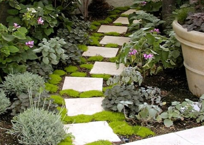 Клумба для дачи: как своими руками создать цветочный оазис (60 фото)