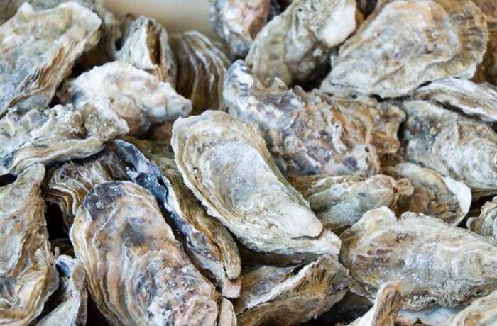 Вся правда об устрицах