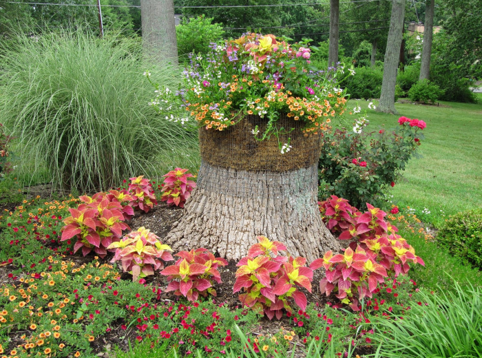 Клумба для дачи: как своими руками создать цветочный оазис (60 фото)