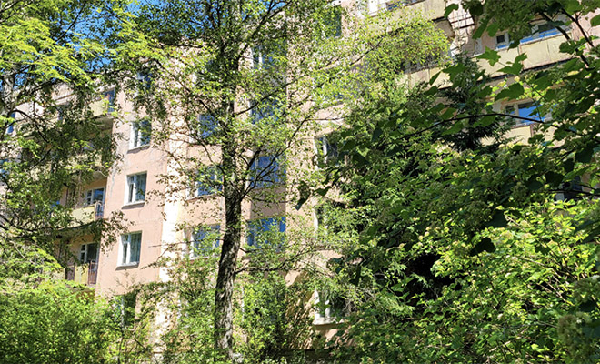 Люди отъехали на 200 километров от Петербурга и нашли посреди леса целый город, где квартиры стоят бесплатно. Видео