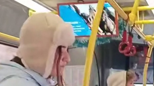 «Вместо мяча обезглавленная туша козла»: жителям Владимира в автобусах показывают варварскую игру мигрантов – козлодрание