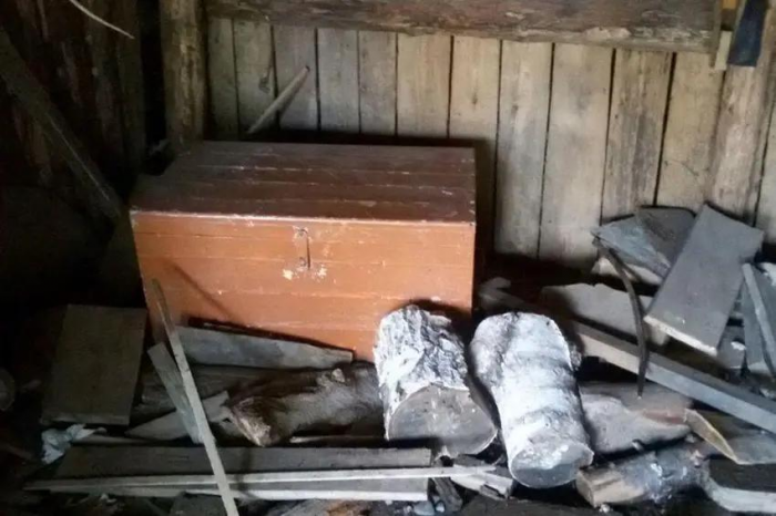 Как сложилась жизнь девочки, которую мать 12 лет держала в сундуке