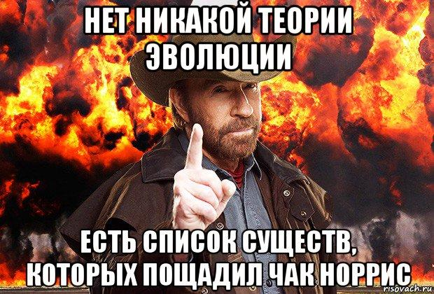 5 культовых фильмов Чака Норриса, которые сформировали поколение миллениалов