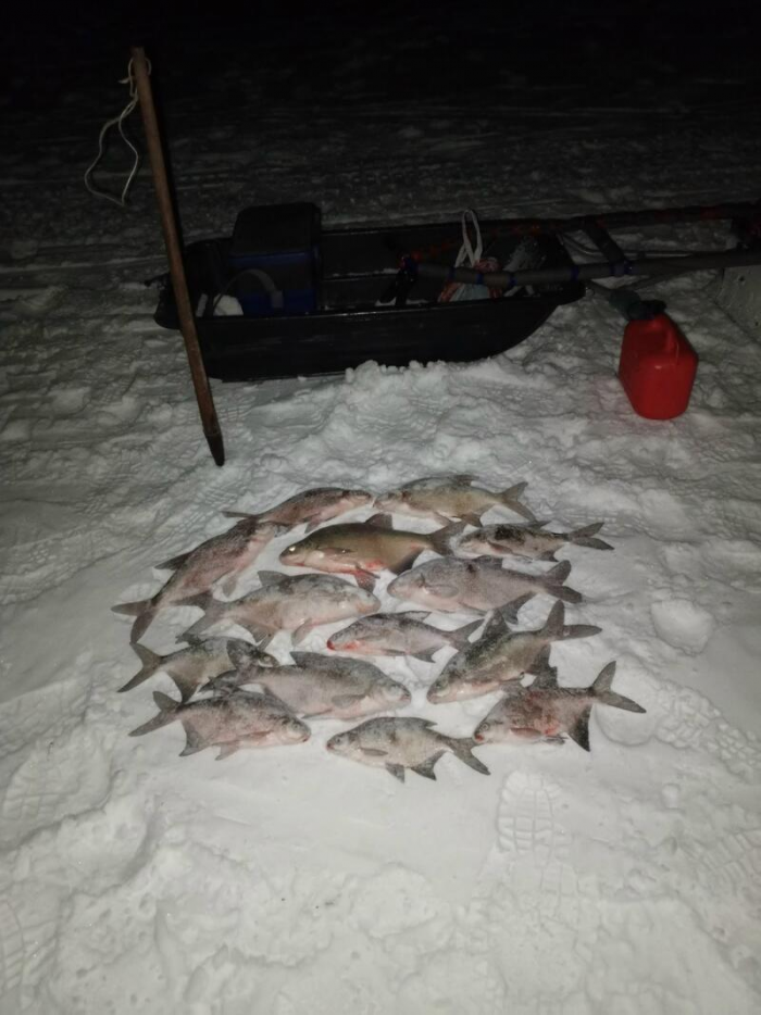 Рыбаки Алтайского края показали солидные последние уловы марта