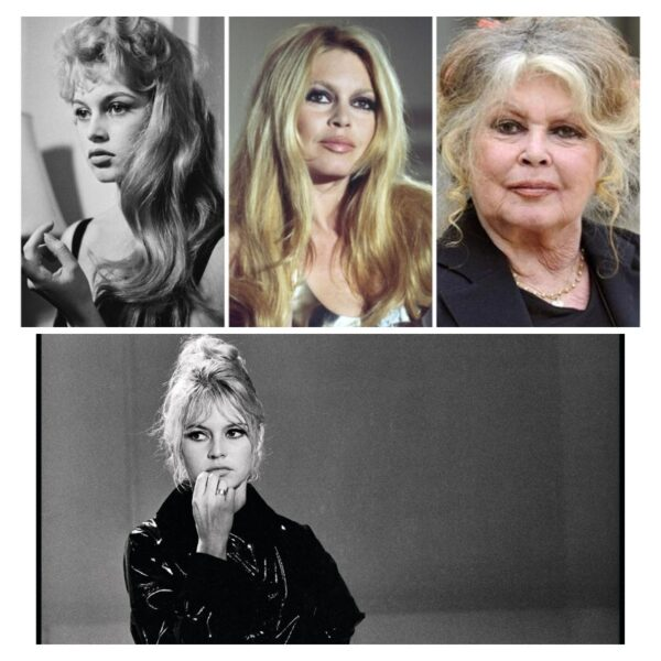 Брижит Бардо ненавидела беременность и отказалась от сына: самая темная глава ее жизни