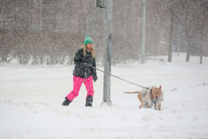 Пик снегопада в Москве и области может прийтись на период с 03:00 до 06:00