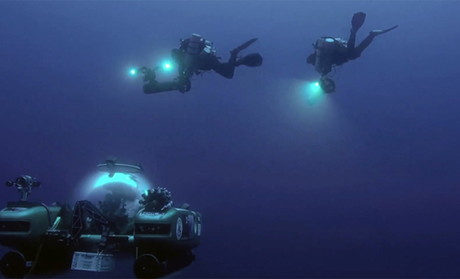 Существа со дна Бермудского треугольника. Ученые спустились в бездну в поисках аномальных созданий: видео