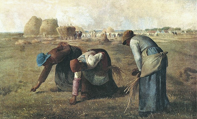 Огороды до прихода картошки. Смотрим, что выращивали и ели крестьяне, пока картофеля не было в Российской Империи