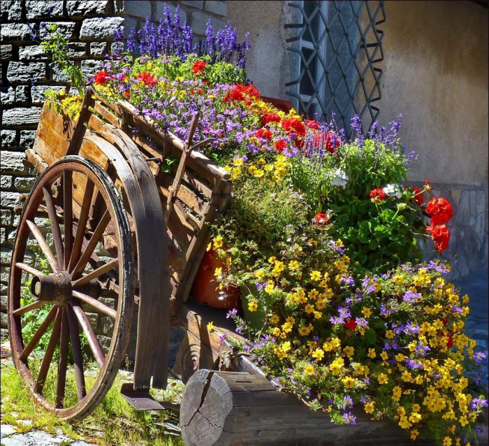 Клумба для дачи: как своими руками создать цветочный оазис (60 фото)