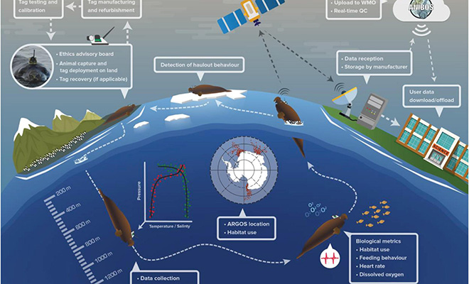 Подо льдами Антарктиды есть сложная сеть тоннелей. Их хотят начать исследовать