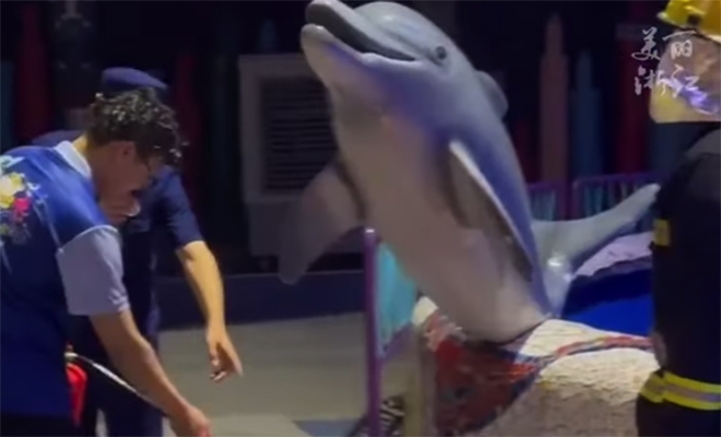 Наглый курильщик достал всех в океанариуме, но тут вмешалась белуха