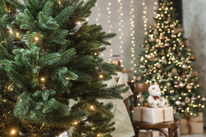Новый год по фэншуй: как правильно украсить дом, чтобы привлечь удачу