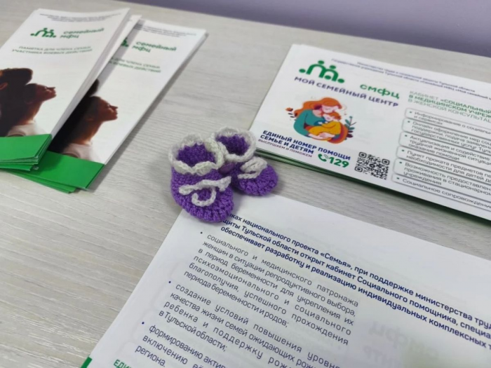В Тульской области более тысячи женщин получили поддержку от социальных помощников