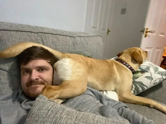 Питомцы, которые не знают границ